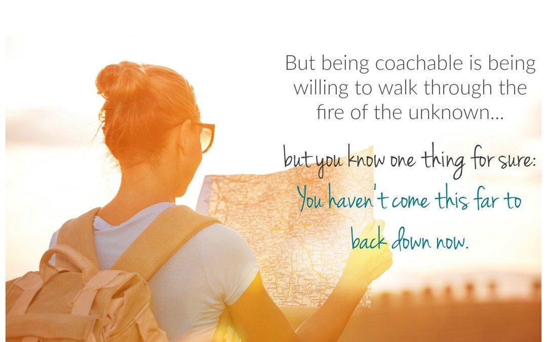 {Soulpreneur Sunday} Being told what to do is easier than being coachable.