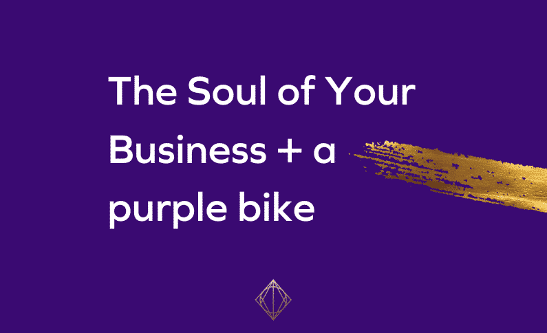 The Soul of Your Business + a purple bike